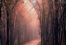 西部第4，还剩9场！湖人仍有可能滑落附加赛区.