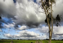 黑白体育：[德甲]握手言和 斯图加特绝平海登海姆.