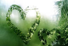 黑白体育：澳波联赛对阵切尔西前4场全败，热刺历任主帅首人.