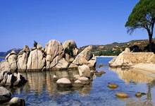 【集锦】普渡大学60-62休斯顿大学 乌赞极限上篮绝杀休斯顿大学挺进精英8强.